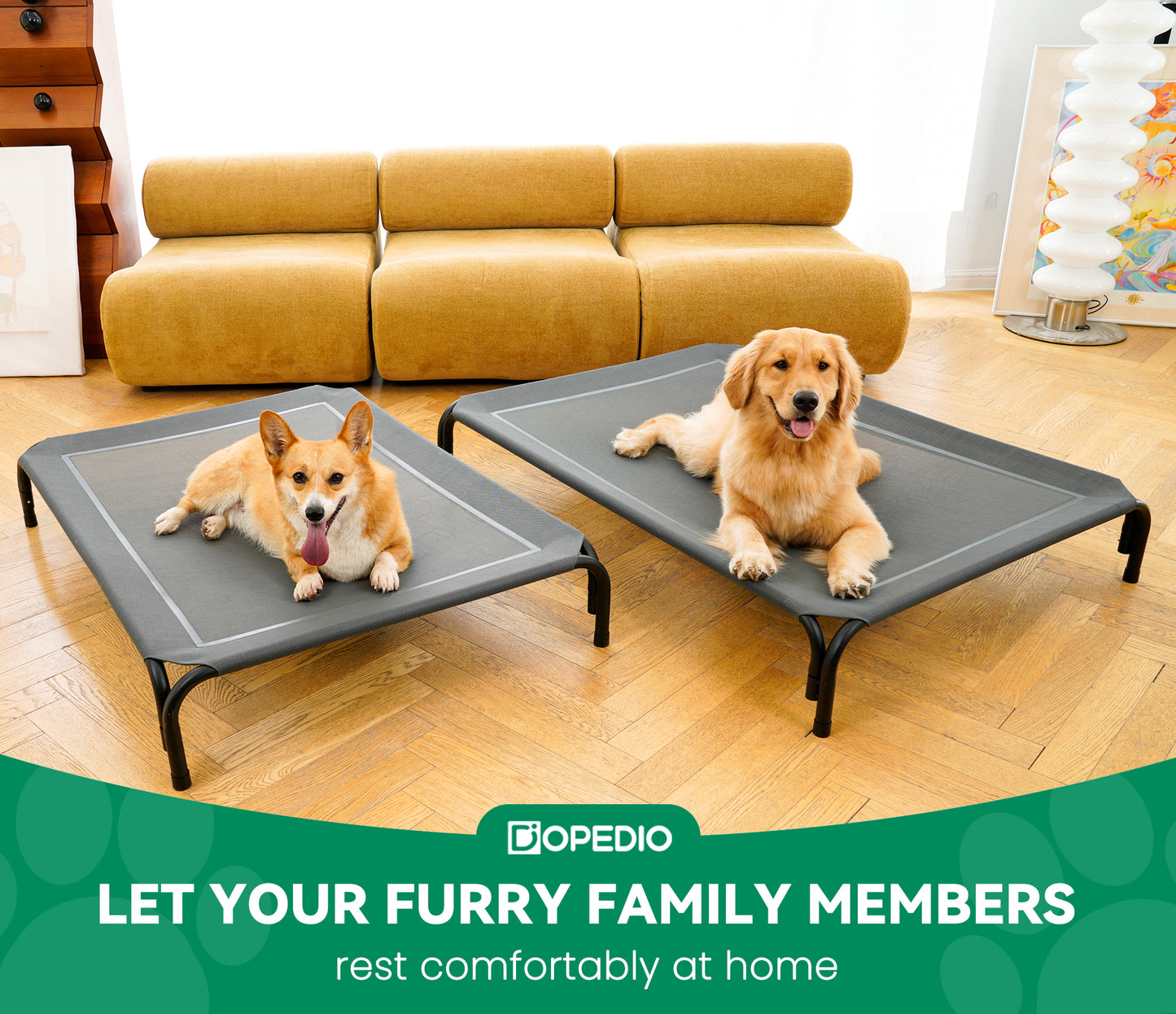 Portable Elevated Dog Bed