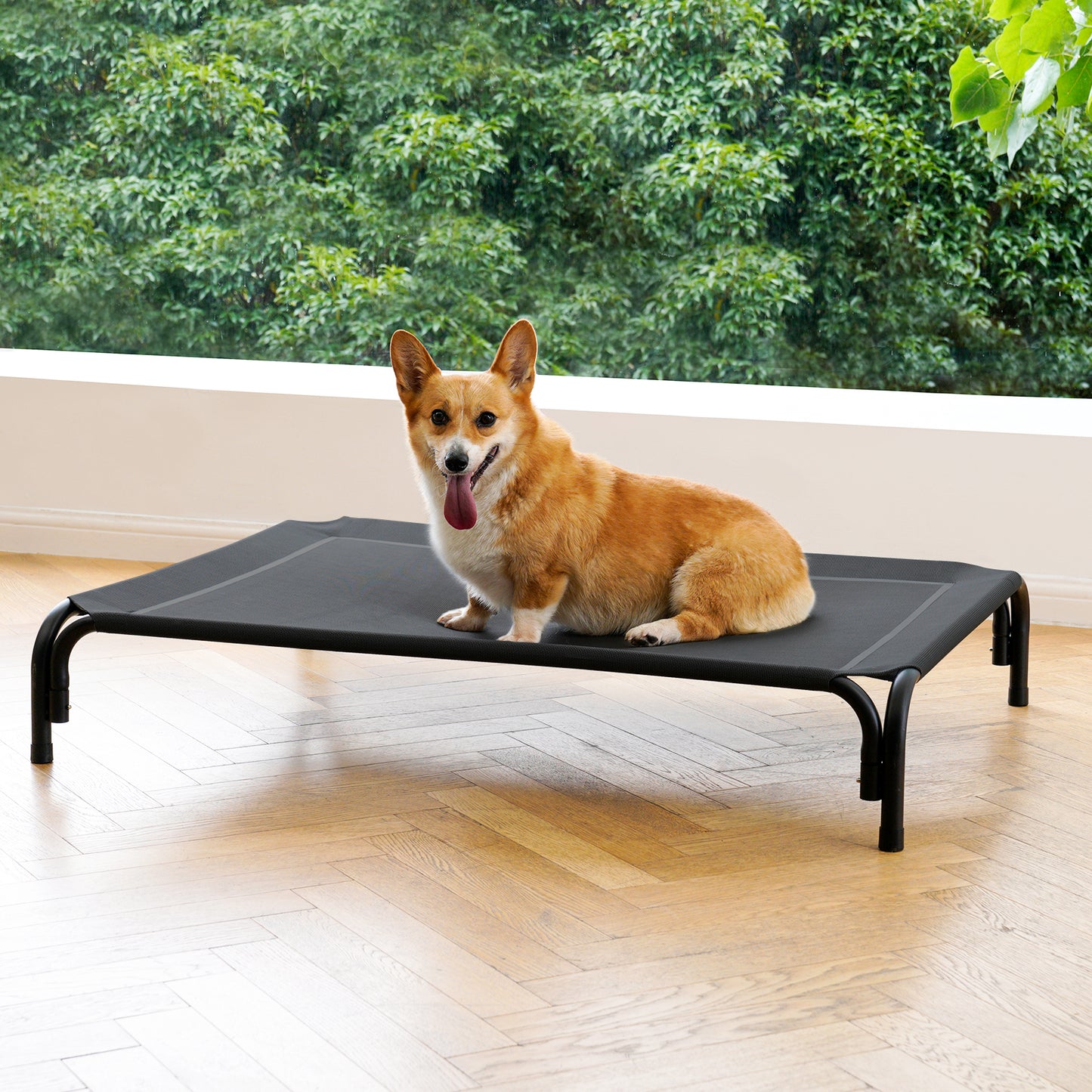 Portable Elevated Dog Bed