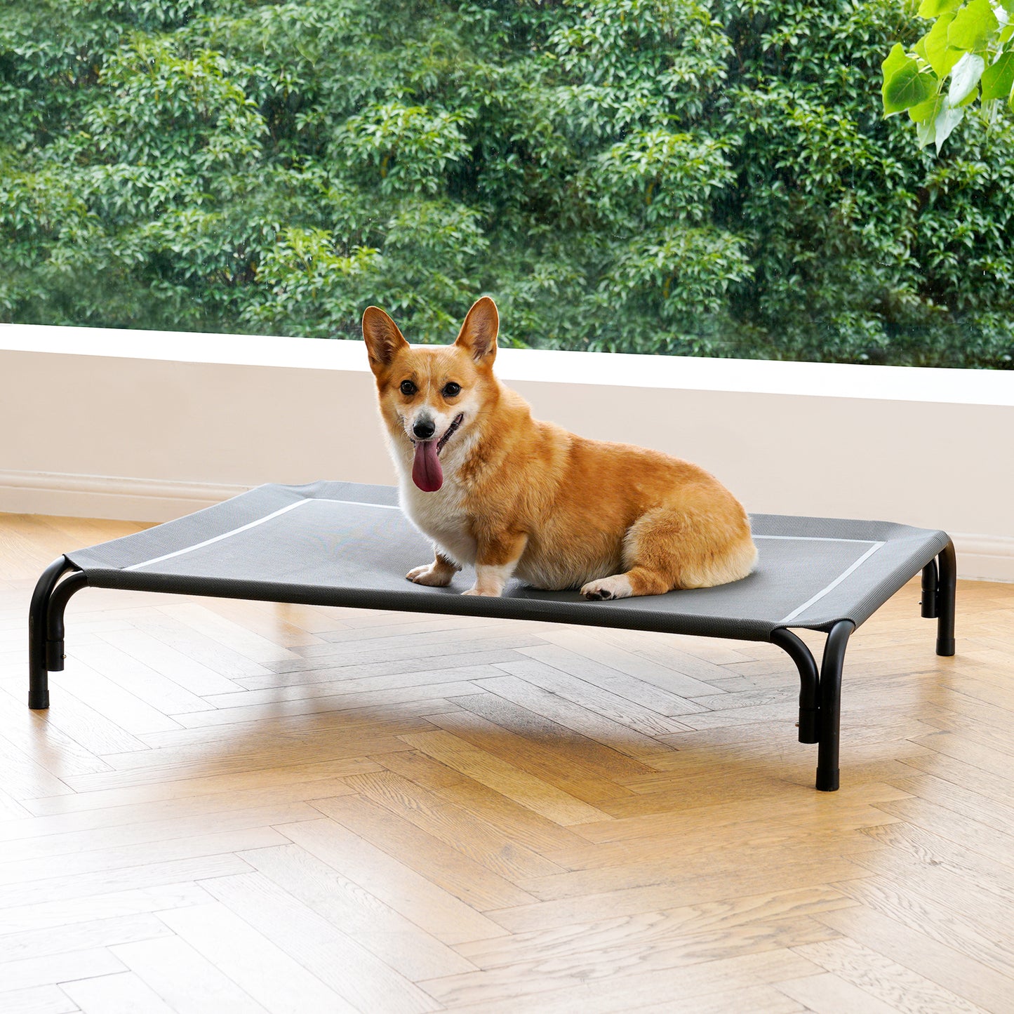 Portable Elevated Dog Bed