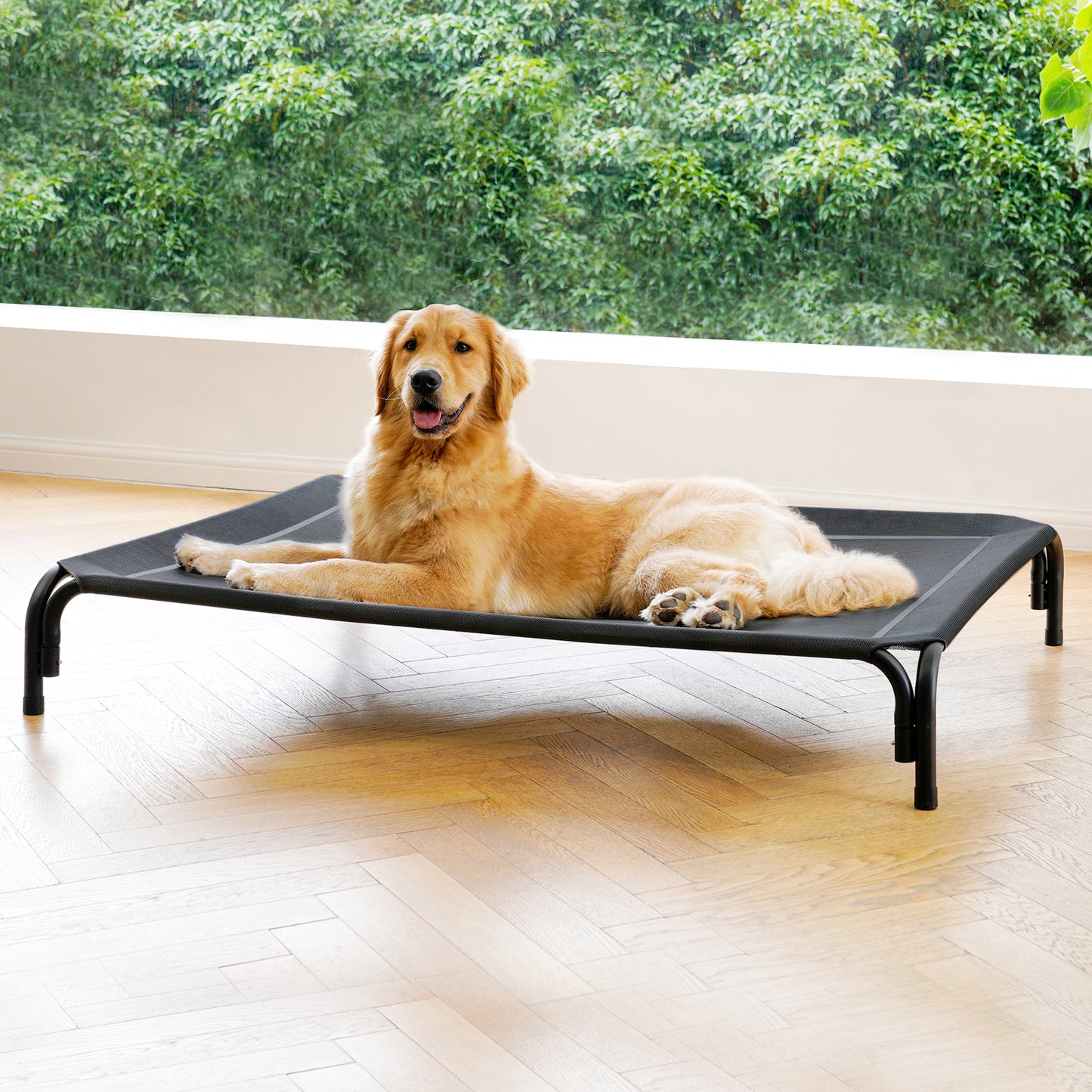 Portable Elevated Dog Bed
