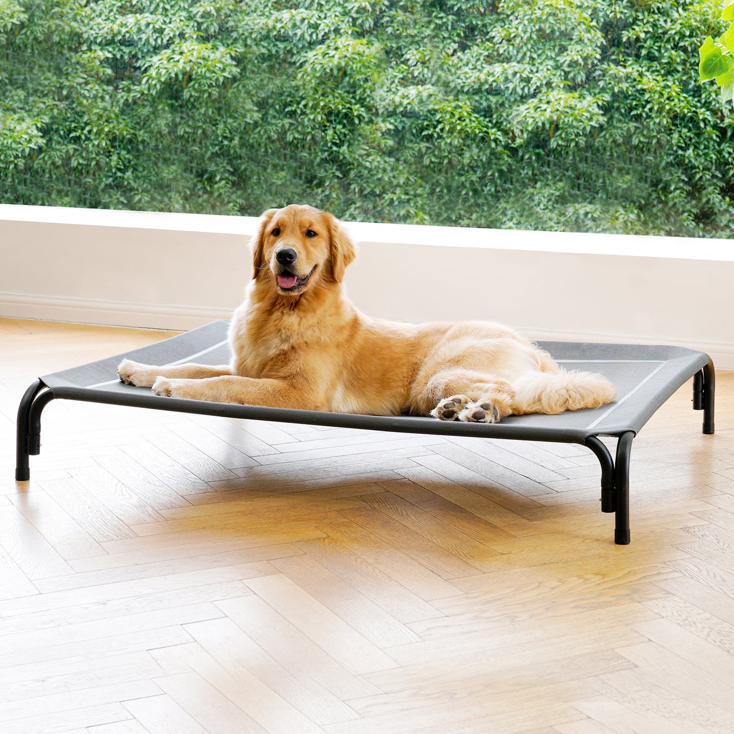 Portable Elevated Dog Bed